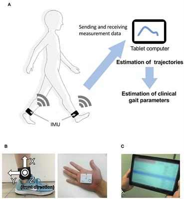 Inertial Measurement Unit-Based Estimation of Foot Trajectory for Clinical Gait Analysis